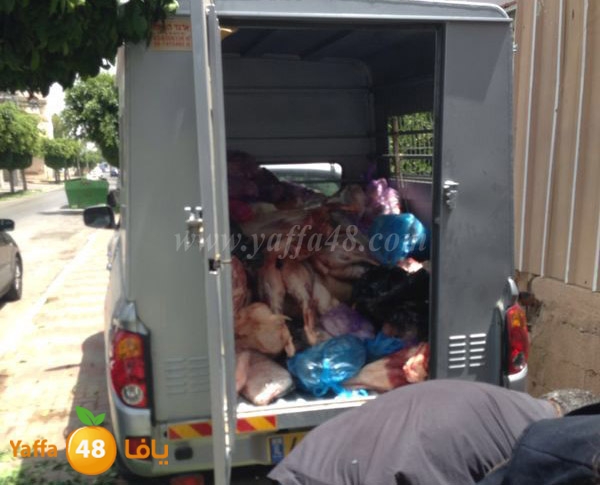 lo7oom lud 0527 (1).JPG